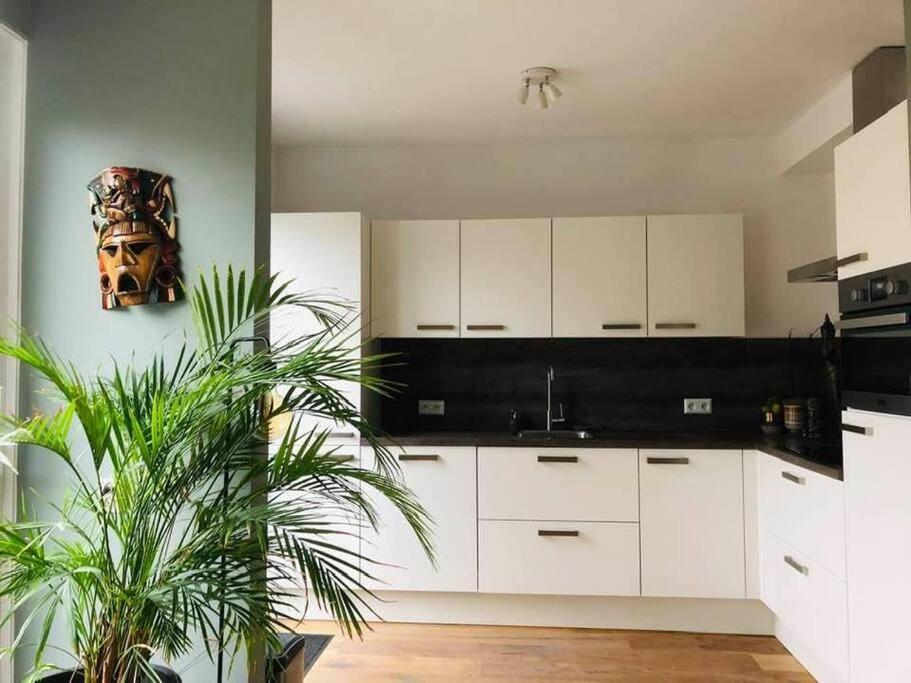 Compleet Huis In Nijmegen Apartment ภายนอก รูปภาพ